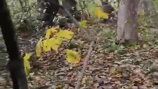 🛡️🇺🇦 Ukraine Russia War | Ukrainian Troops Defend Against Russian Drone Attack | RCF
