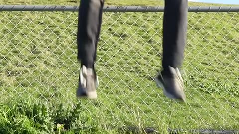 How animal get over a fence