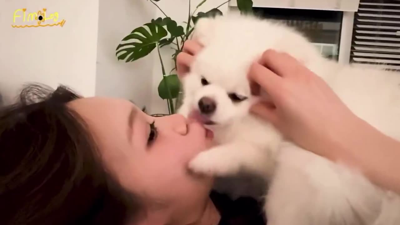Le sserafim Chaewon Kpop