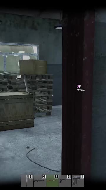 Dayz PVP will never not be boring