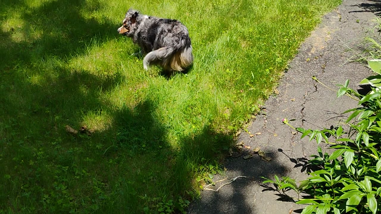 Misty Greets ME Again