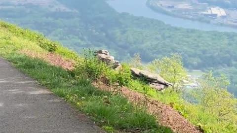 The Walk to the View Lookout Mountain Tennessee