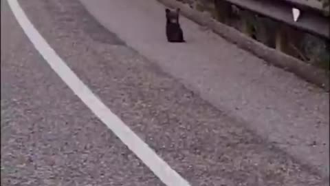 What would you do if you were in this situation?