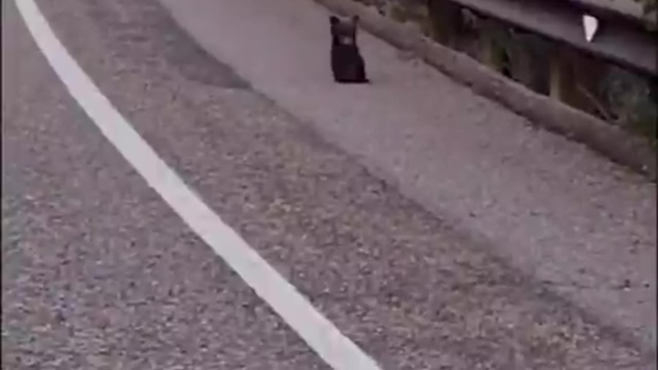 What would you do if you were in this situation?