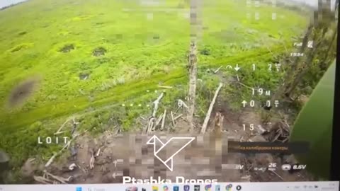 🕸️🐝 New video of destruction of Russian FPV drones with a pneumatic net gun from Ptashka Systems.