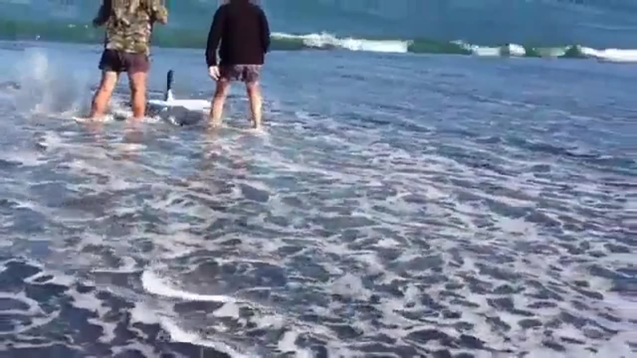 Baby Shark in Sea Beach