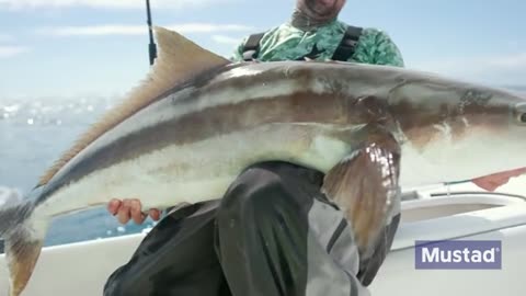 Topwater Fishing for Huge Cobia on Commercial Shrimp Boats_part2