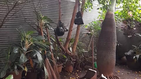 Secrets of the Natural World