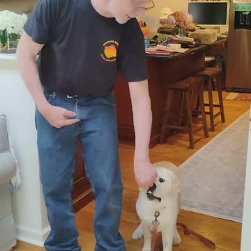 Molly's Second Lesson shorts 2