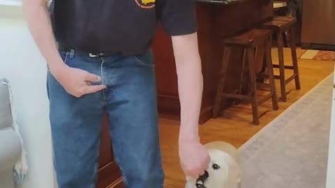 Molly's Second Lesson shorts 2