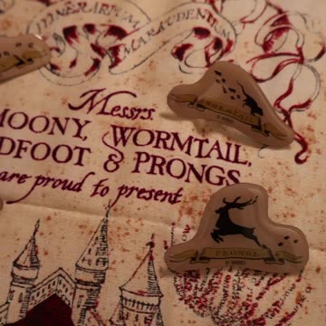 Marauders Pins From Universal Studios Japan!