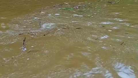 Dangerous Flood Moments