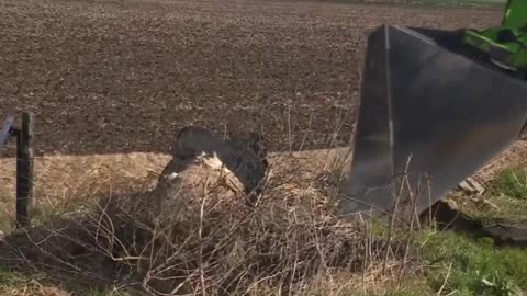 Thorney Farmer calls for urgent action on fly-tipping!