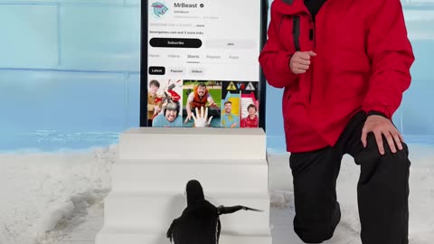 Mr Beast