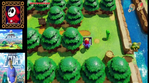 Zelda Link's Awakening
