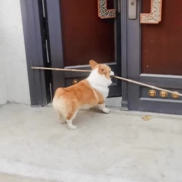 Perseverance and improvisation