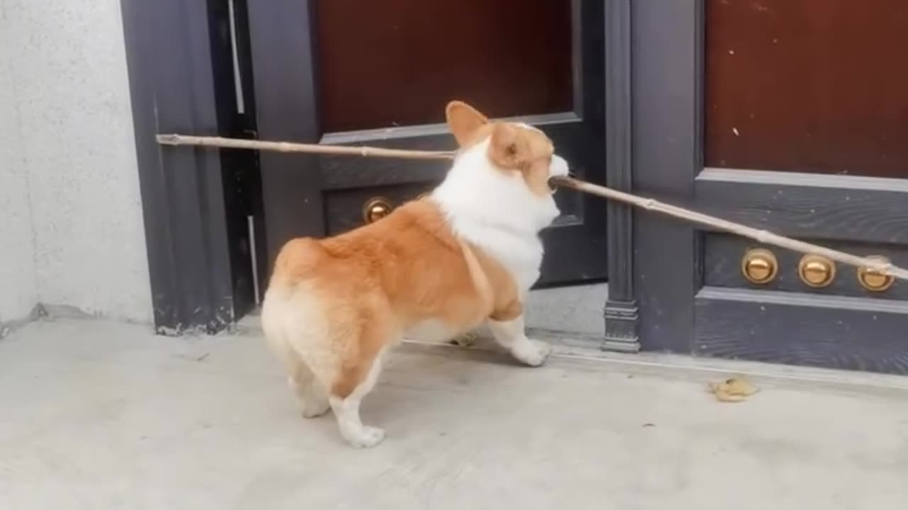 Perseverance and improvisation