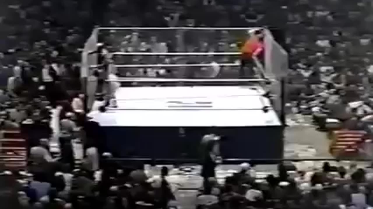 WWF SPECTRUM Mar 21 1981 **NOT ON PEACOCK**