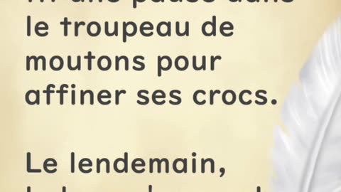 Un loup dont les crocs ont été trop polis - Huhito Fables-Version française Vol.9