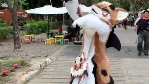 Playful Derg