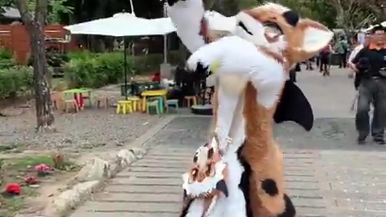 Playful Derg