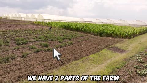 Watch This Video To Feed 1 Person In Need