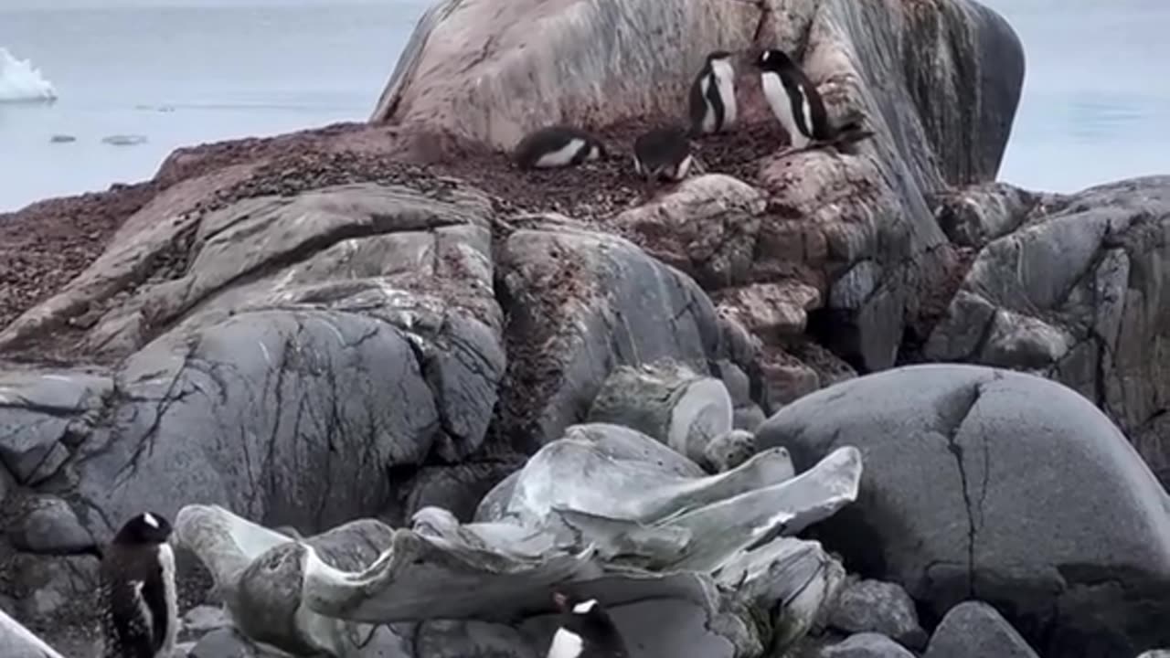 The Edge Of The World, Frozen In Time (Antarctica)