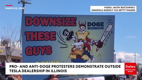 Pro- and Anti-DOGE Protesters Clash Outside Illinois Tesla Dealership