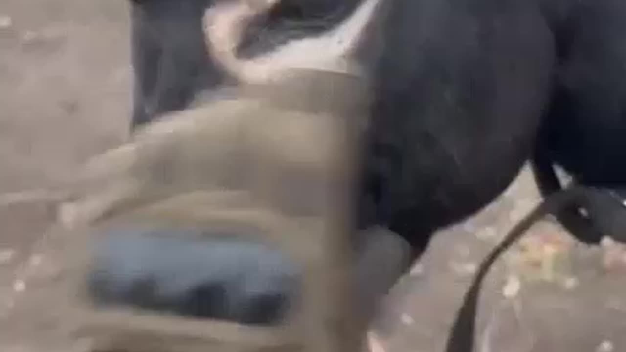 Russian Soldier Promoted to Lieutenant