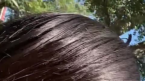 Take care of your own health by Ed Delacruz. #health #healthy #healthadvice #reels #shorts