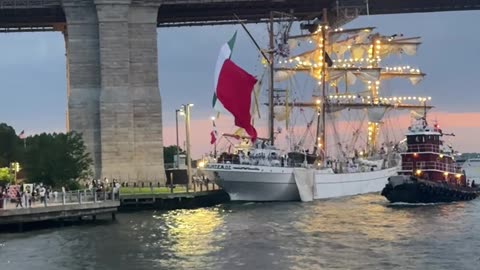Witnessed a Ship Crash Into the Brooklyn Bridge