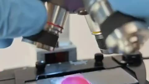 🪱🪱LIPSTICK☠️☠️☠️UNDER A MICROSCOPE