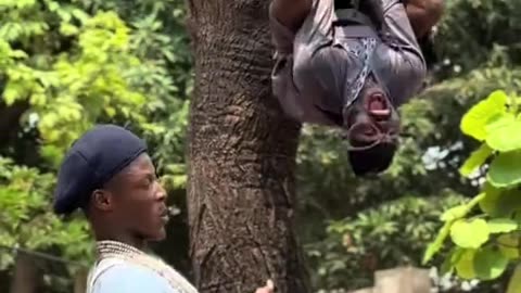 Funny video