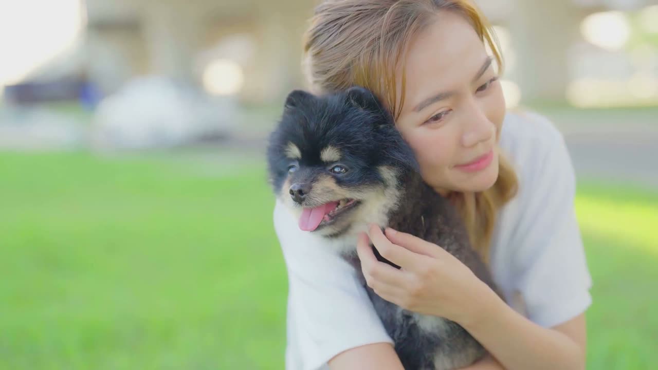 Can Dogs Really Feel Emotions?