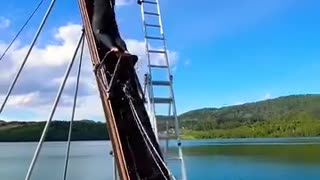 "World's Most Epic Water Slide: Experience the Ultimate Thrill You Can't Miss!"