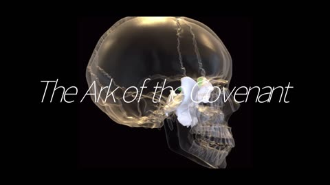 The Ark of the Covenant