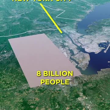 8 Billion People