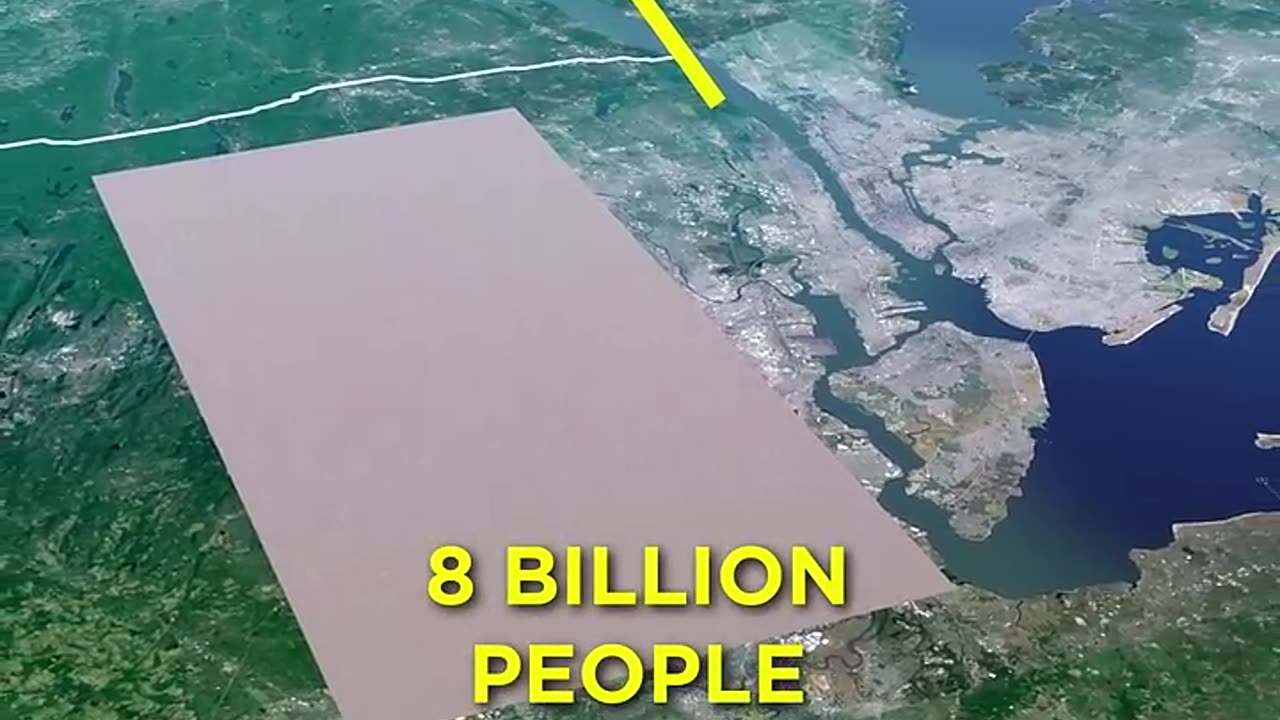 8 Billion People