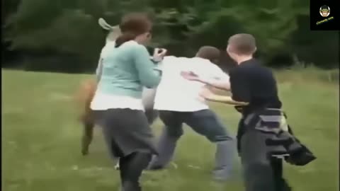 wild animals attack funny animals went crazy and attak people