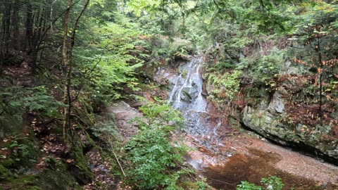 Take a Hike