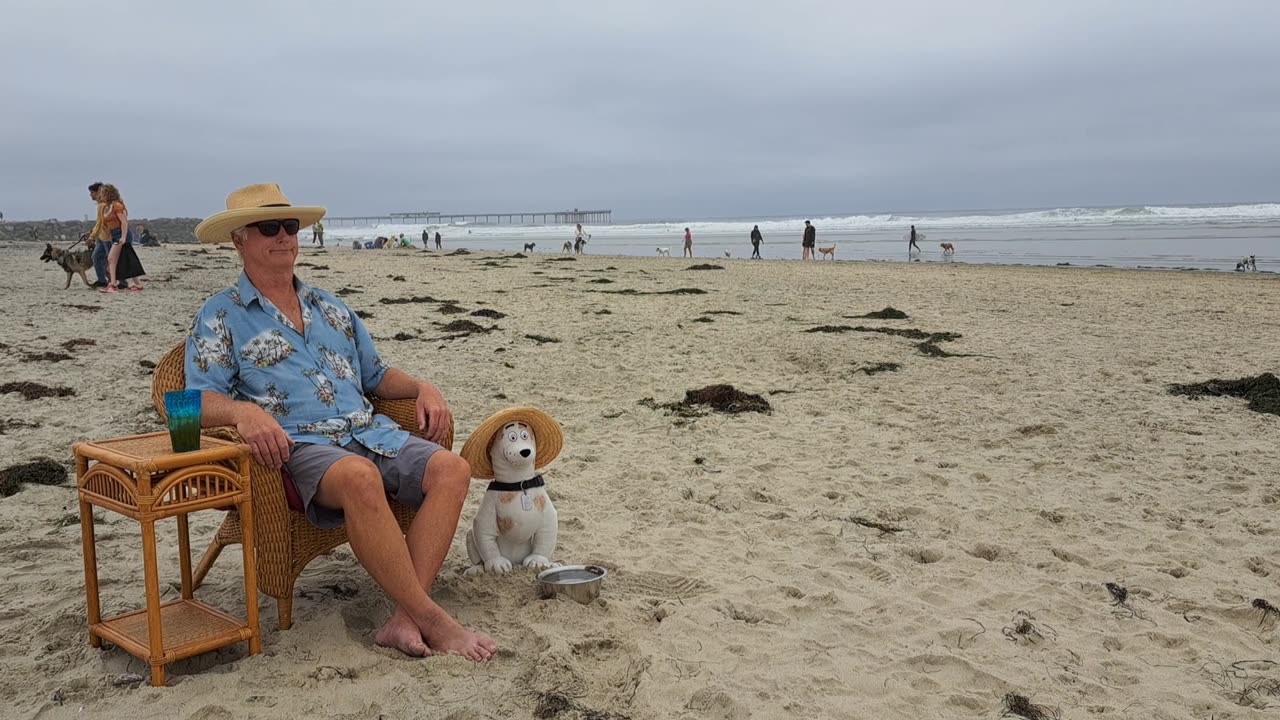 #184 Ocean Beach - Dog Beach, San Diego, California.