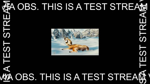 Another day another test