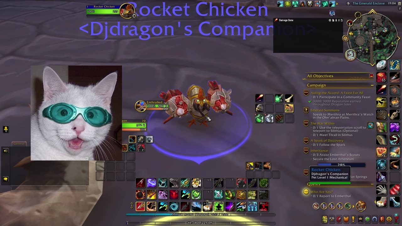 WoW│So this is my Chicken Robots Pet...