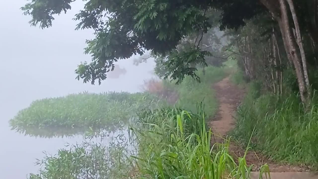 2.3.2025 The Barron River, Kuranda