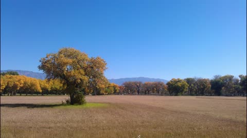 Autumn Solar Meditation - Magnetically Empowering Your Harvest Phase for This Year