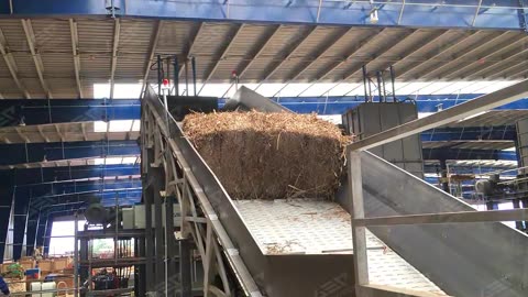 Chain Plate Conveyor: The Heavy-Duty Backbone for Bulk Material Handling