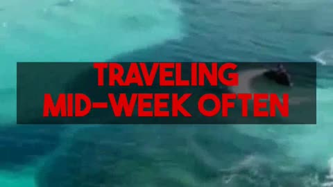 Solo Travel Flight Bargains Expert Analysis