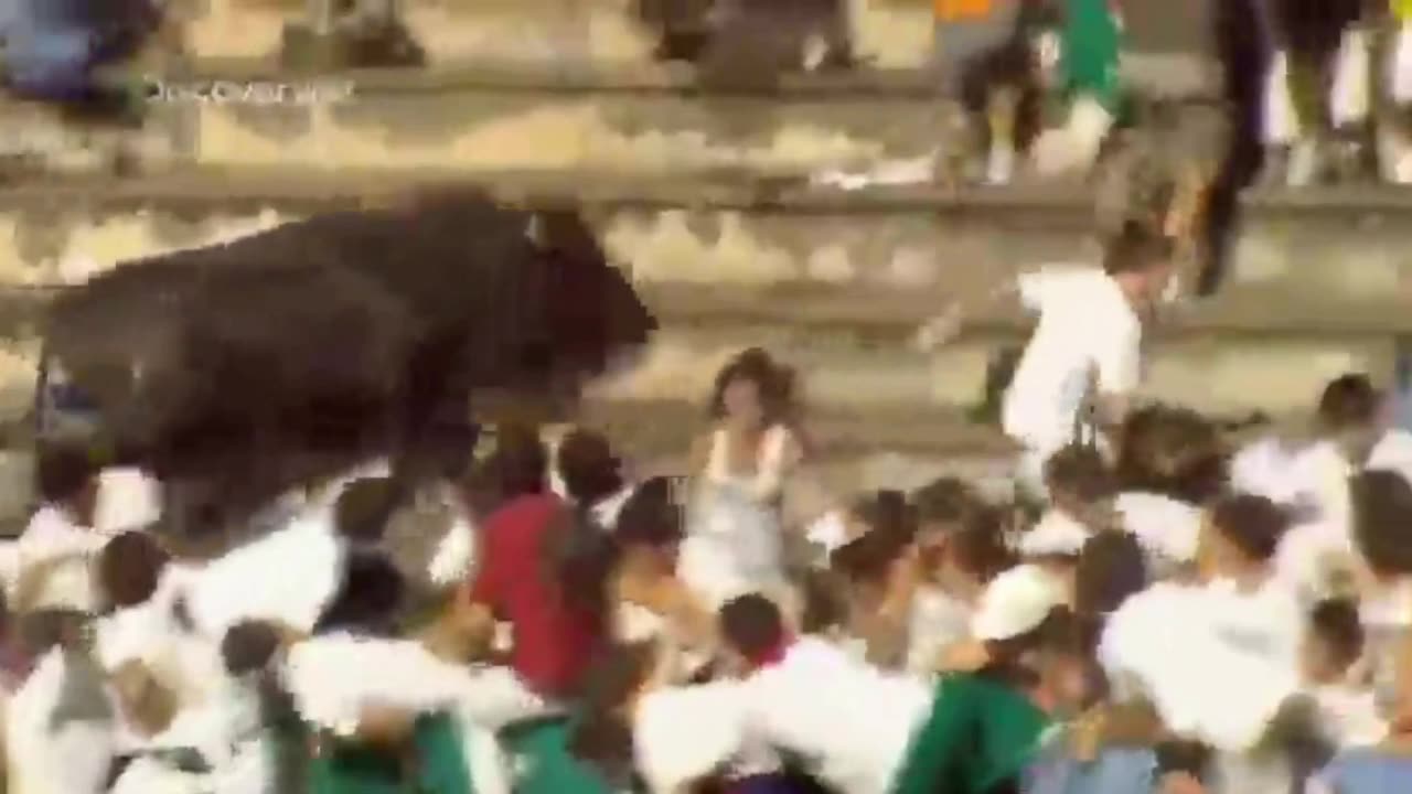 ATAKI DZIKICH ZWIERZĄT dokument pl