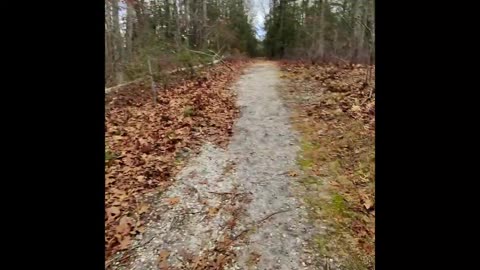 First Hike of the new year, with some Dark Moor!