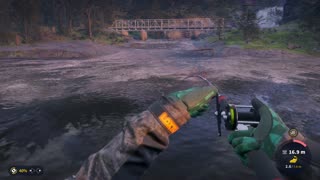 Diamond Asp COTW The Angler Trollspret Nature Reserve